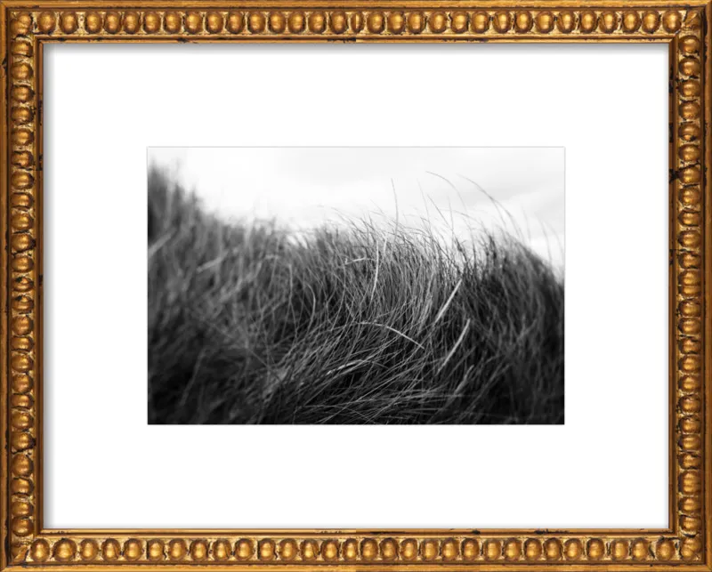 Beach Grass #3 by Alicia Bock for Artfully Walls
