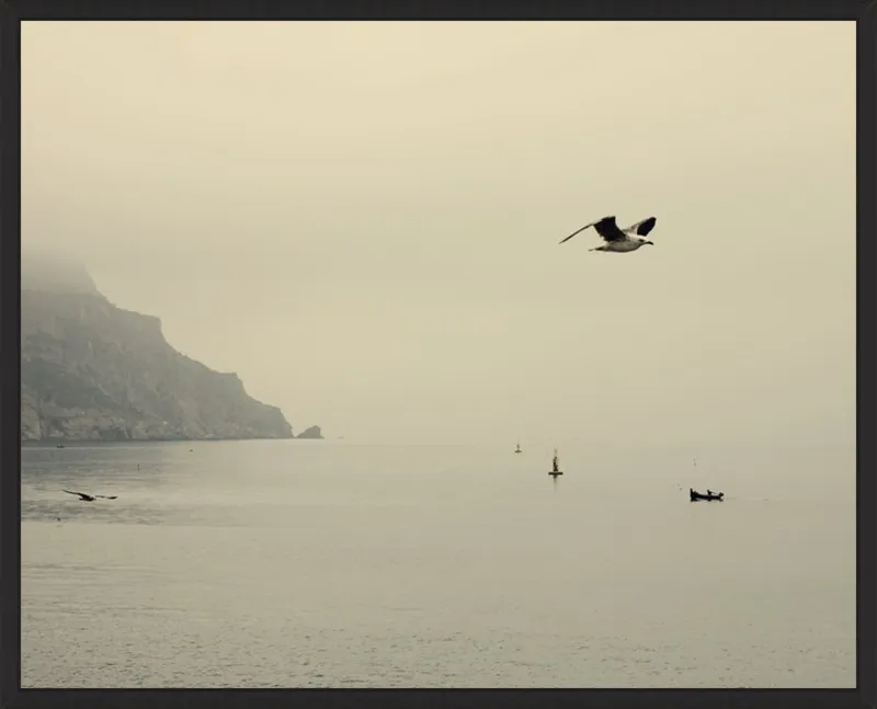 one day I will fly away by Ingrid Beddoes for Artfully Walls