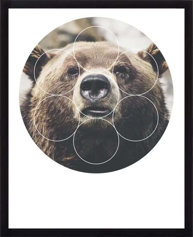 Big Bear Buddy - Geometric Photography by Emiliano Deificus for Artfully Walls
