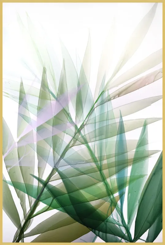 Tropical Study no. 8 by Marina Dunbar  for Artfully Walls
