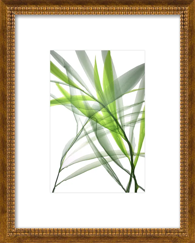 Tropical Study no. 3 by Marina Dunbar  for Artfully Walls