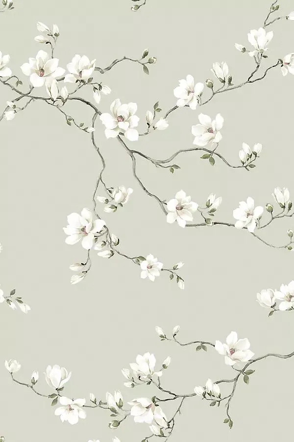 Moonlace Magnolia Floral Wallpaper