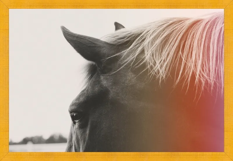 Pink Pony by Alicia Bock for Artfully Walls