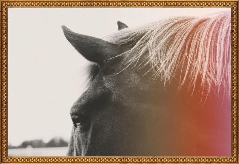 Pink Pony by Alicia Bock for Artfully Walls