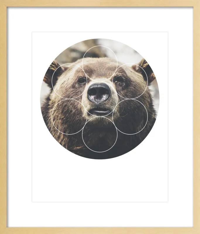 Big Bear Buddy - Geometric Photography by Emiliano Deificus for Artfully Walls
