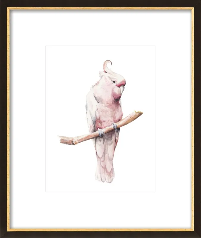 Rose Breasted Cockatoo Watercolor by Lauren Rogoff for Artfully Walls