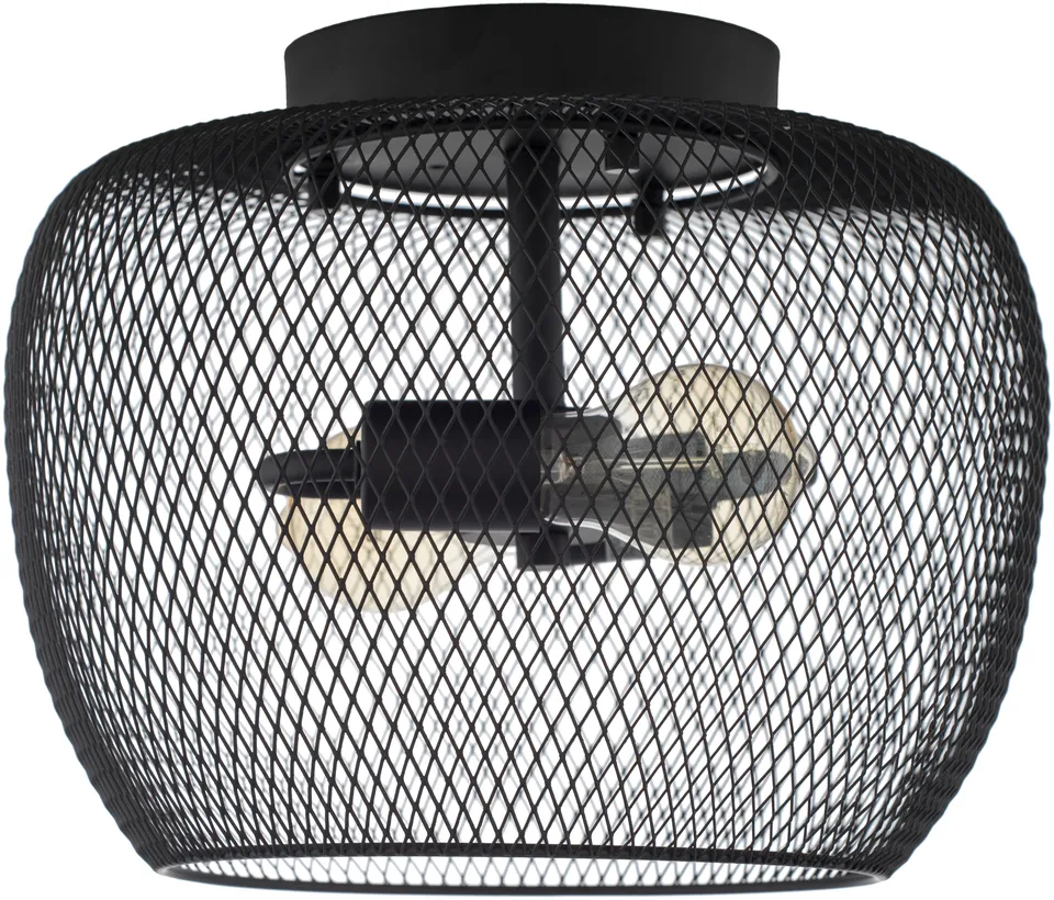 Abel Light