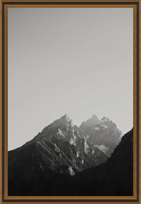 Chasing Light by Catherine McDonald for Artfully Walls