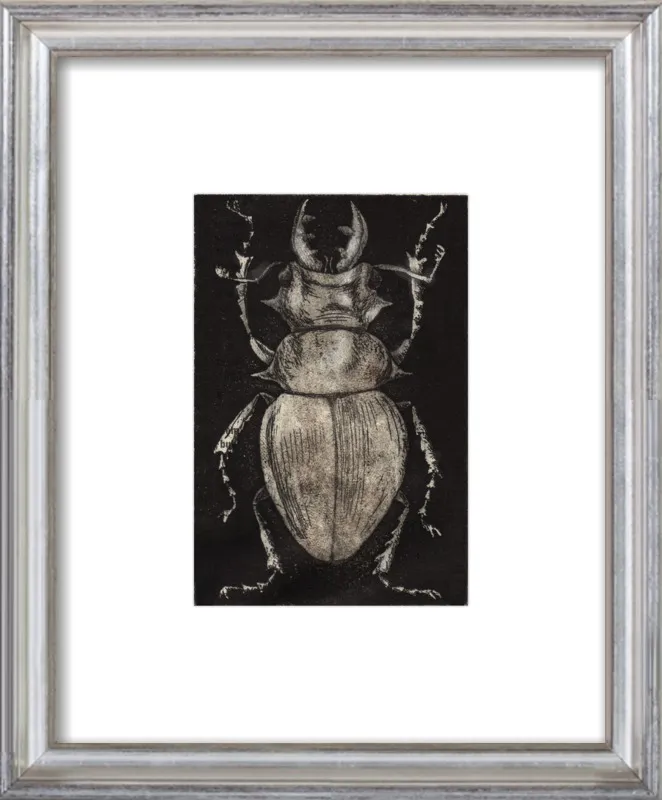 Grey Beetle on Black by Tennopent Sooster for Artfully Walls