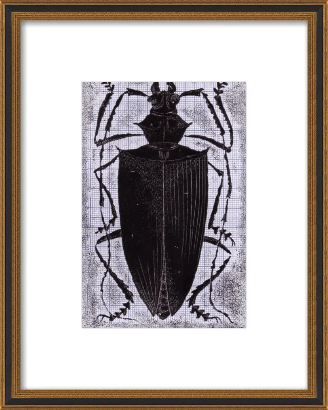 Black Beetle on Grey by Tennopent Sooster for Artfully Walls