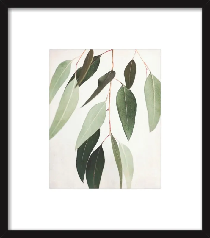Eucalyptus Spring Three by Lupen Grainne for Artfully Walls