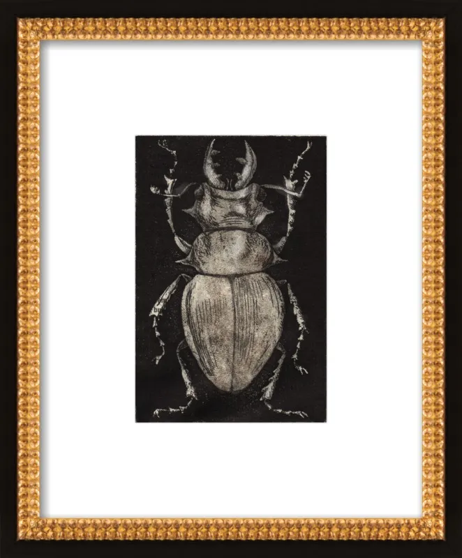 Grey Beetle on Black by Tennopent Sooster for Artfully Walls