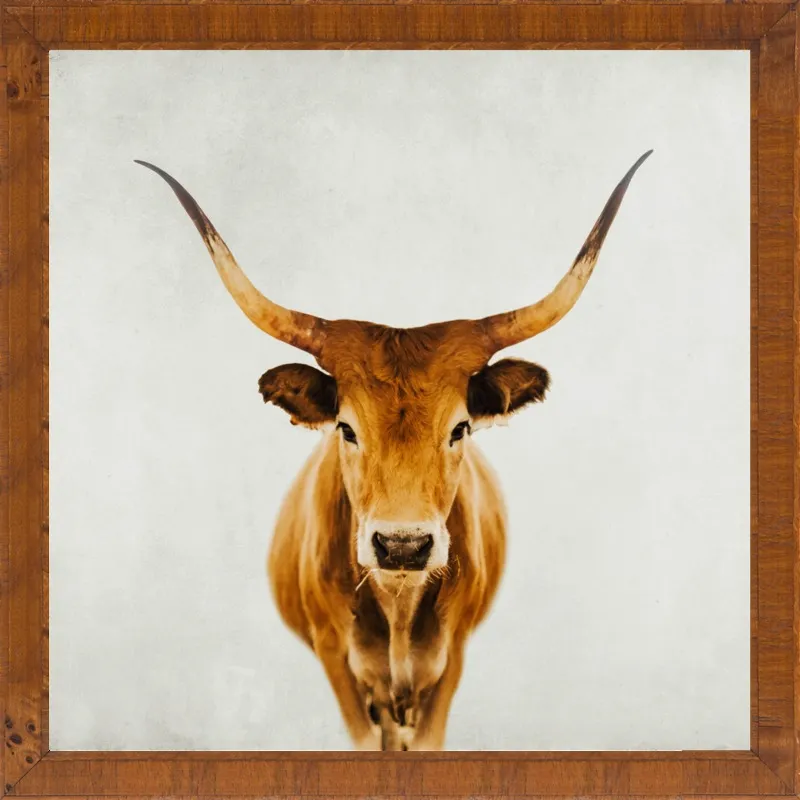 Honey by Ingrid Beddoes for Artfully Walls