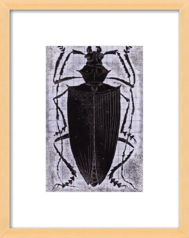 Black Beetle on Grey by Tennopent Sooster for Artfully Walls