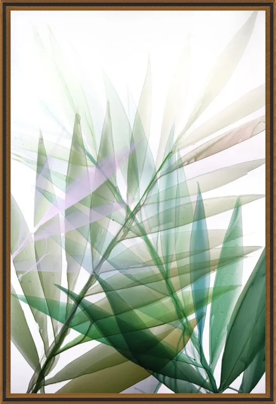 Tropical Study no. 8 by Marina Dunbar  for Artfully Walls