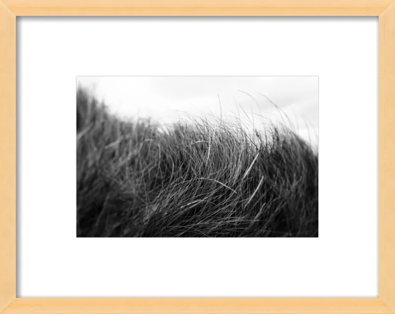 Beach Grass #3 by Alicia Bock for Artfully Walls