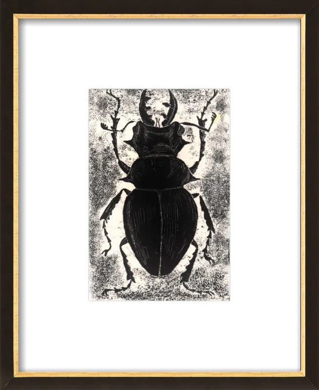 Black Beetle on White by Tennopent Sooster for Artfully Walls