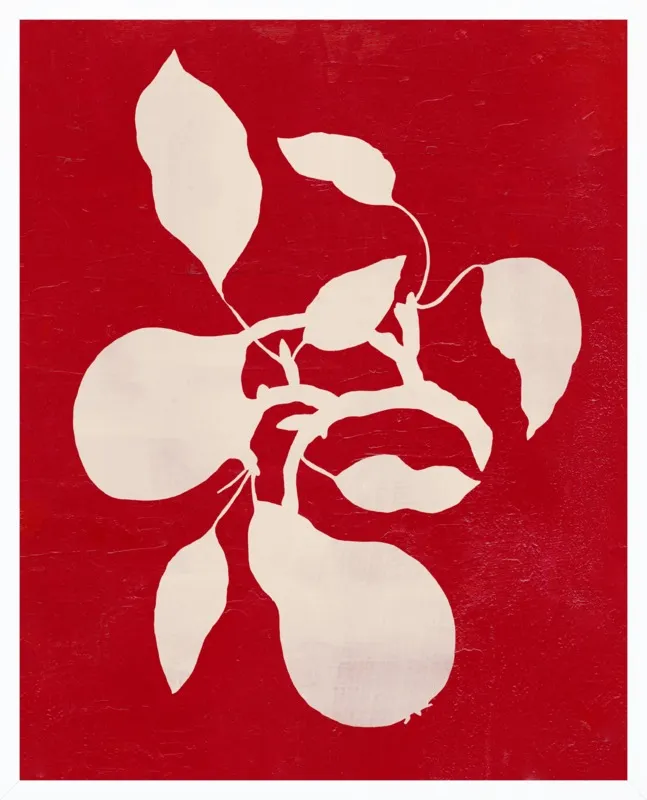 pears by Ruti Shaashua for Artfully Walls
