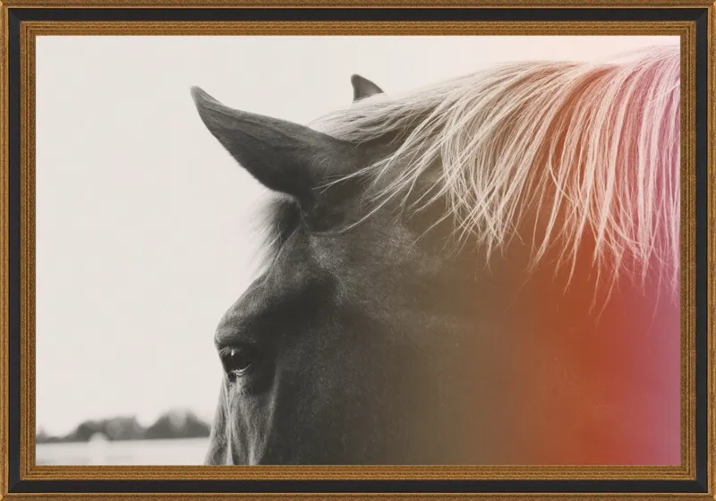 Pink Pony by Alicia Bock for Artfully Walls