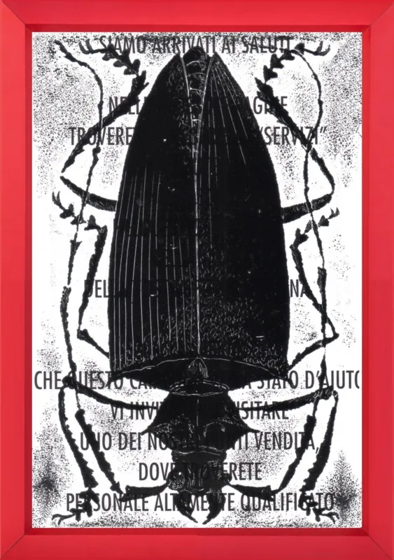 Black Beetle on Words by Tennopent Sooster for Artfully Walls