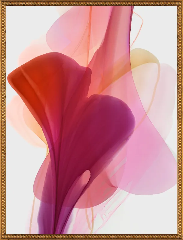 Abstract Flora Bloomlands 33 by Marta Spendowska for Artfully Walls