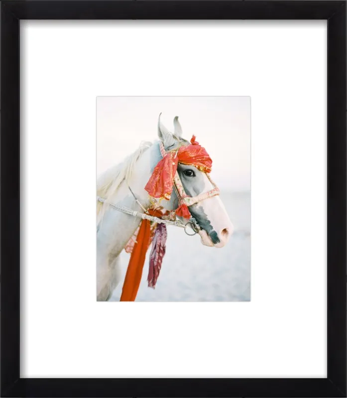 Marwari by Andrew Jacona for Artfully Walls