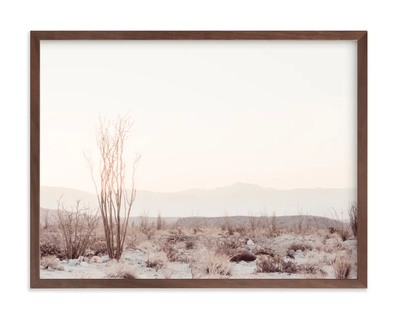 Ocotillo II Limited Edition Fine Art Print