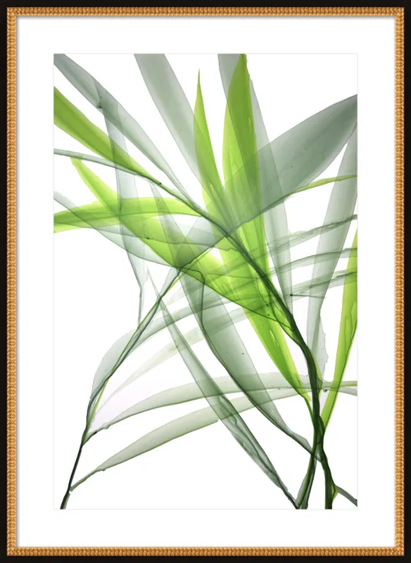 Tropical Study no. 3 by Marina Dunbar  for Artfully Walls