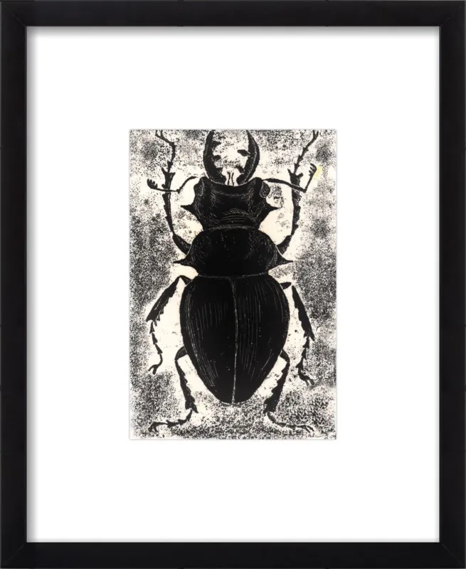 Black Beetle on White by Tennopent Sooster for Artfully Walls