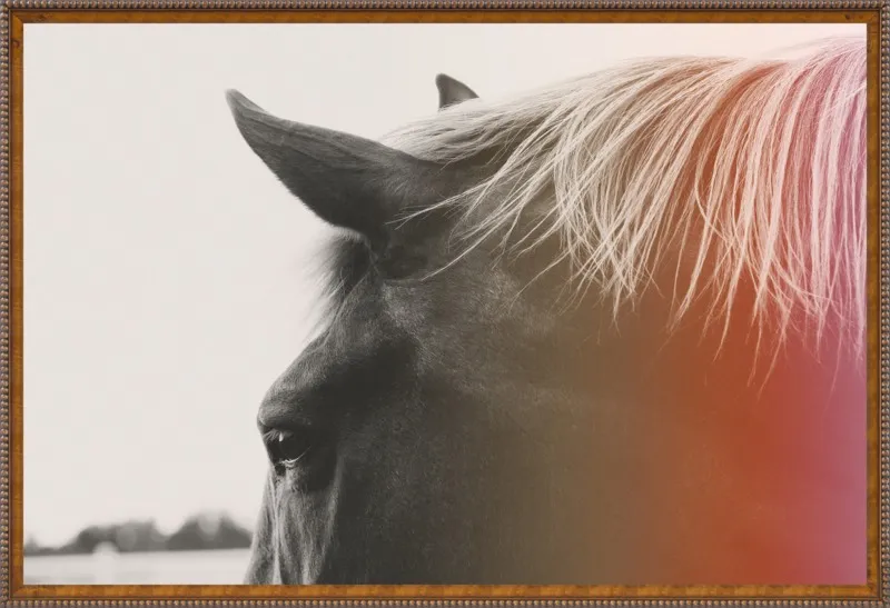 Pink Pony by Alicia Bock for Artfully Walls