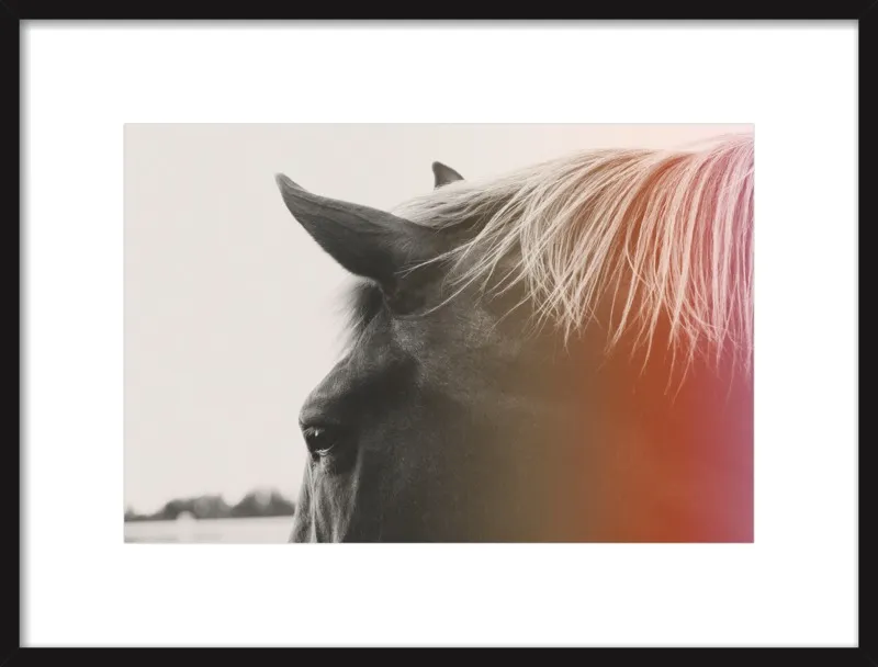 Pink Pony by Alicia Bock for Artfully Walls