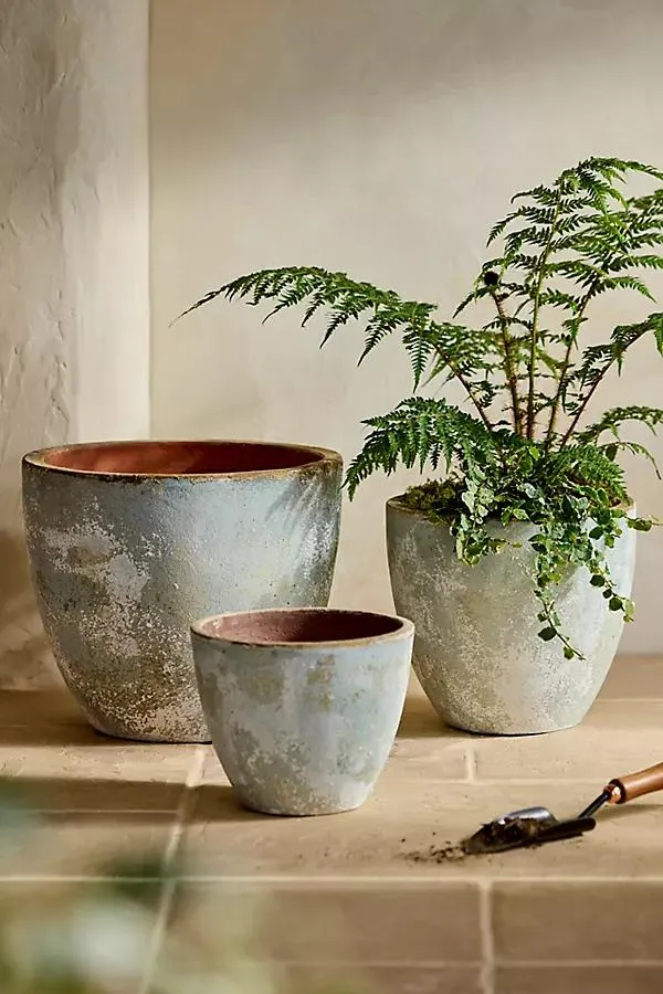 Canyon Ceramic Egg Planter