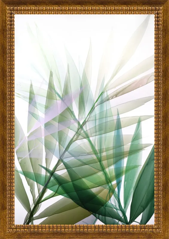 Tropical Study no. 8 by Marina Dunbar  for Artfully Walls