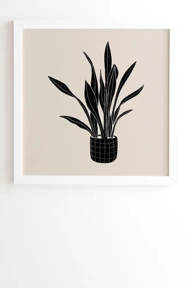 Black And White Snake Plant by Alisa Galitsyna - Framed Wall Art Basic White 12" x 12"