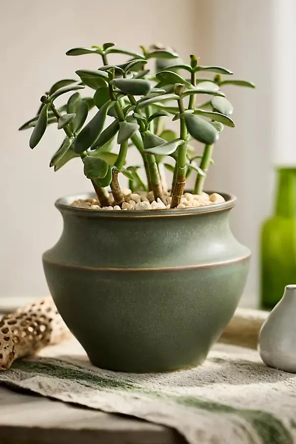 Tapered Jar Ceramic Planter