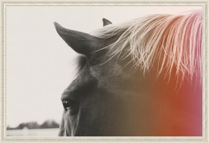 Pink Pony by Alicia Bock for Artfully Walls