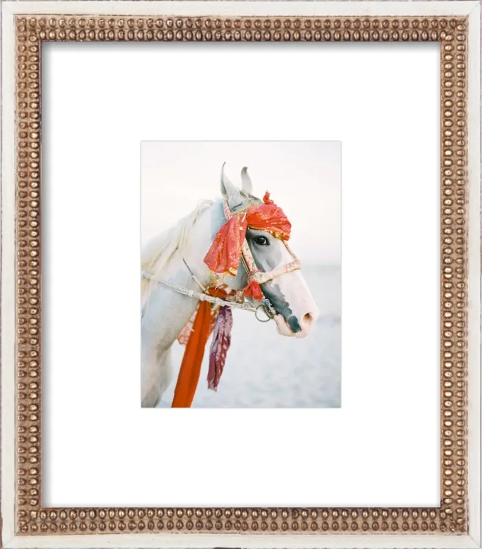 Marwari by Andrew Jacona for Artfully Walls