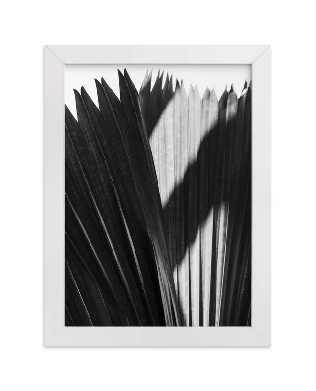 Palmery 2 Limited Edition Fine Art Print