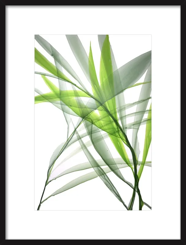 Tropical Study no. 3 by Marina Dunbar  for Artfully Walls