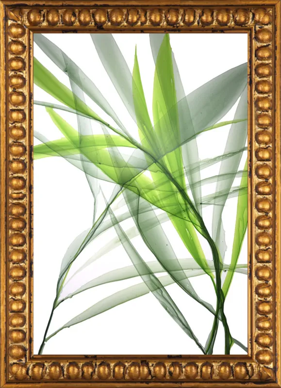 Tropical Study no. 3 by Marina Dunbar  for Artfully Walls