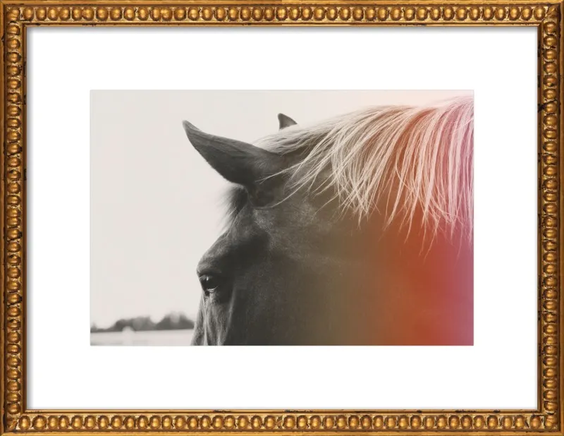 Pink Pony by Alicia Bock for Artfully Walls