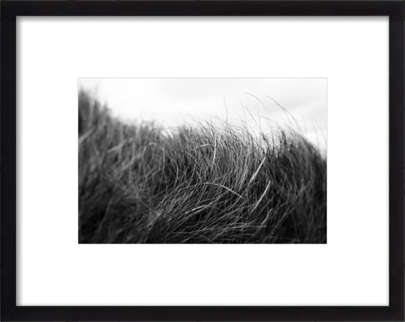 Beach Grass #3 by Alicia Bock for Artfully Walls