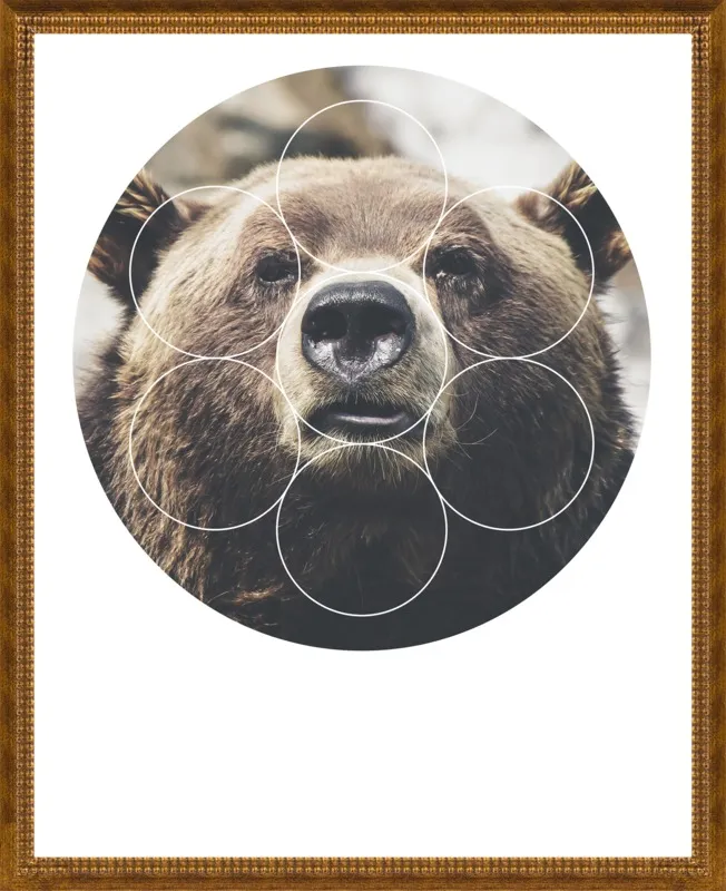 Big Bear Buddy - Geometric Photography by Emiliano Deificus for Artfully Walls