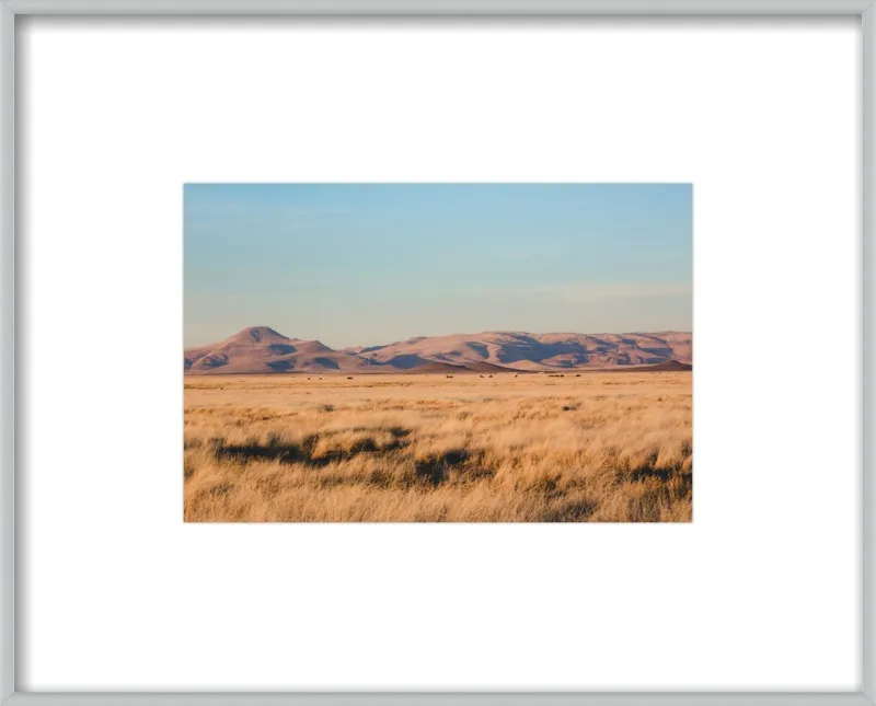 Where the Buffalo Roam by Ann Hudec for Artfully Walls