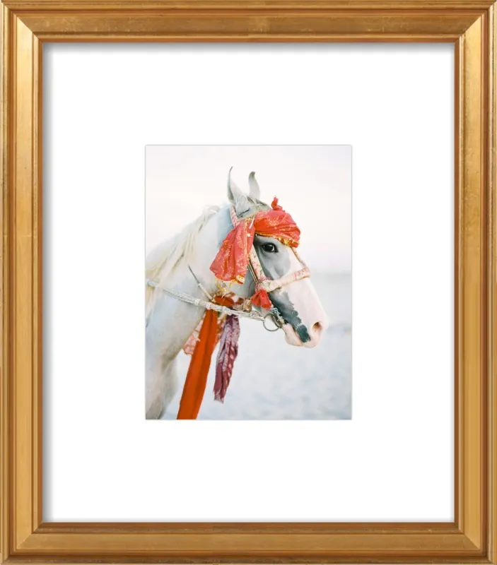 Marwari by Andrew Jacona for Artfully Walls