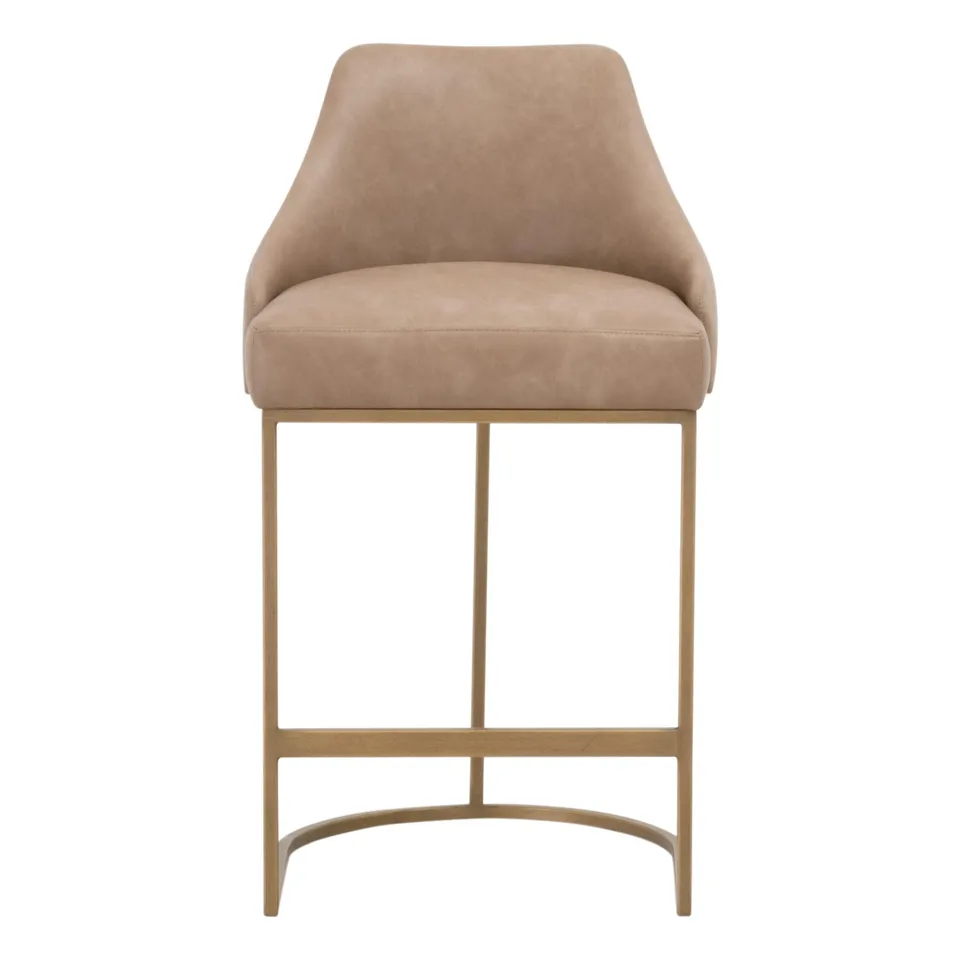 Parissa Counter Stool, Set of 2