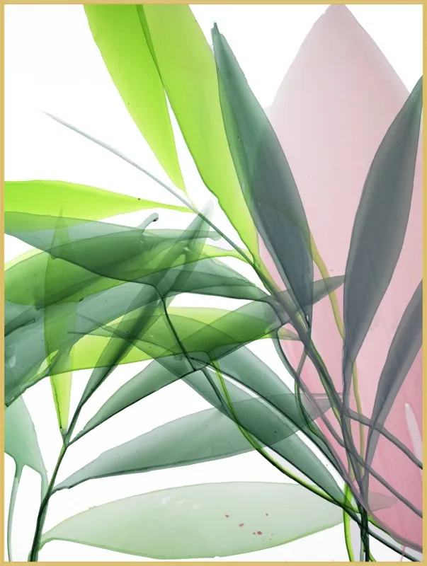 Tropical Study no. 15 by Marina Dunbar  for Artfully Walls