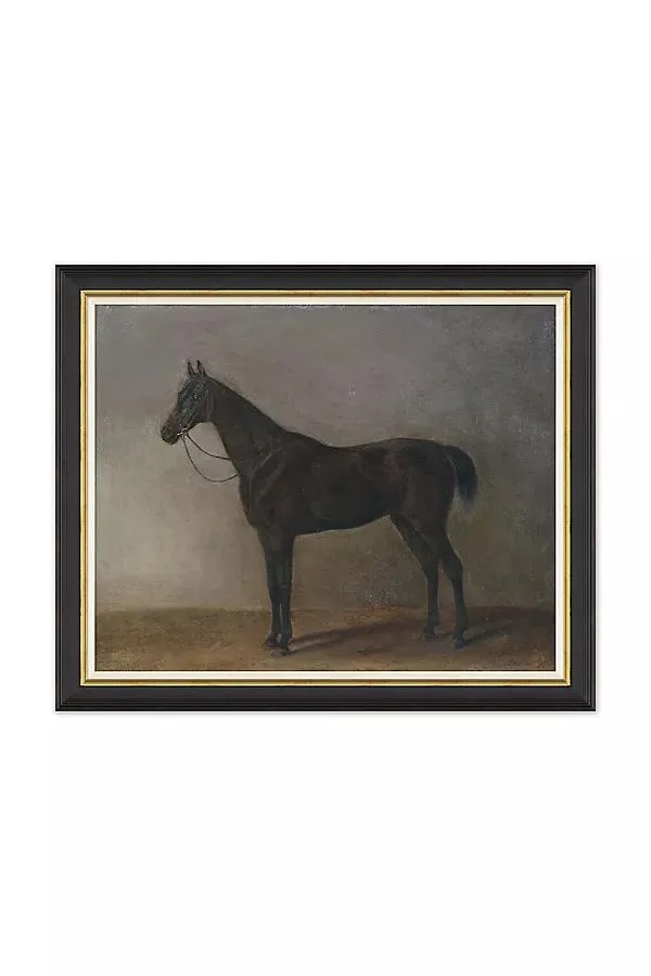 Brauner Wallach Wall Art