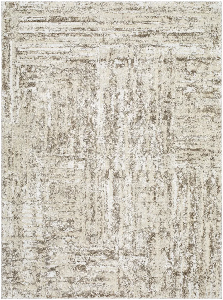 Andorra Plus Beige Indoor 7'10" x 10' Machine Woven Rug