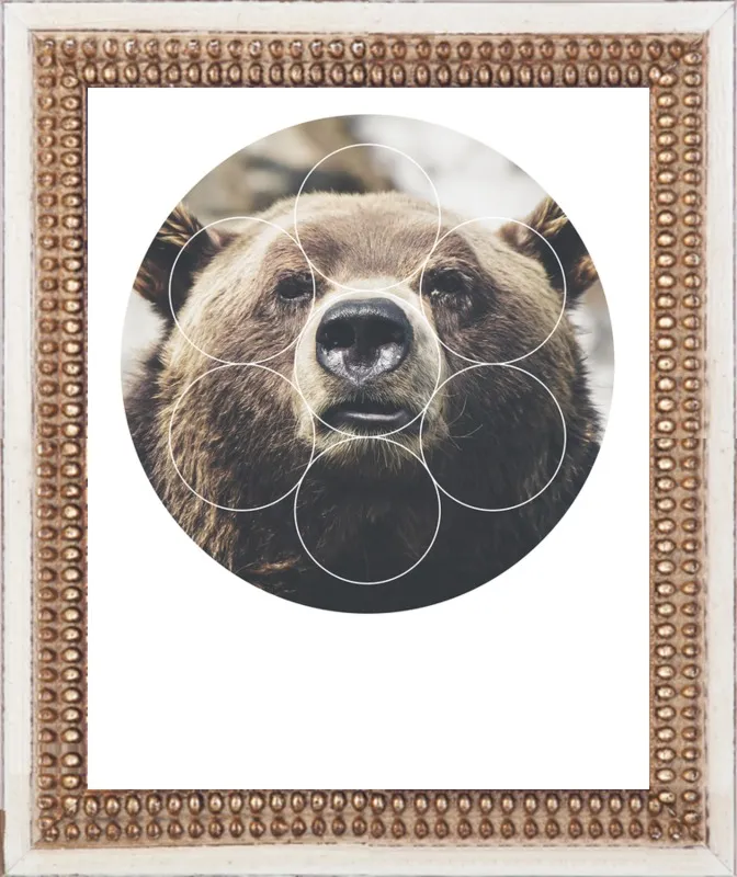 Big Bear Buddy - Geometric Photography by Emiliano Deificus for Artfully Walls